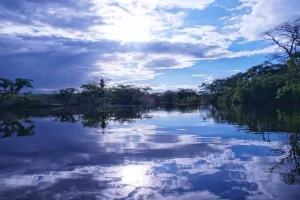 Conheça as Melhores Opções de Acomodações Sustentáveis na Amazônia